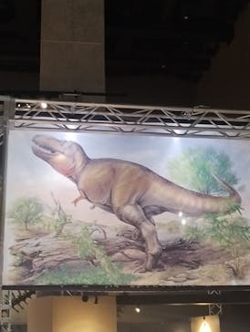 福井県立恐竜博物館に投稿された画像（2024/11/3）