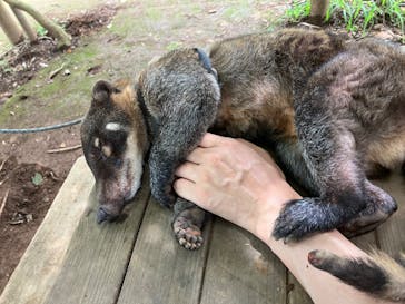 ダチョウ王国石岡ファームに投稿された画像（2024/11/3）