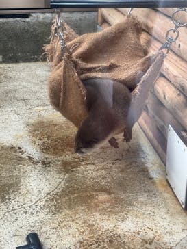 伊豆・三津シーパラダイスに投稿された画像（2024/11/3）