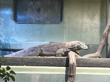 名古屋市東山動植物園に投稿された画像（2024/11/3）