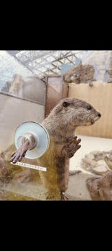 横浜・八景島シーパラダイスに投稿された画像（2024/11/3）