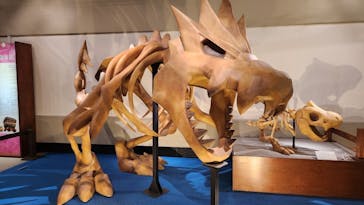 岐阜県博物館に投稿された画像（2024/11/3）