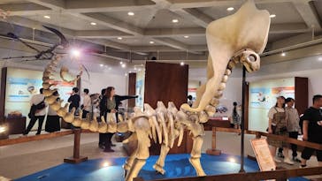 岐阜県博物館に投稿された画像（2024/11/3）