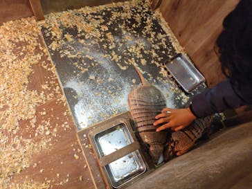 伊豆シャボテン動物公園に投稿された画像（2024/11/3）