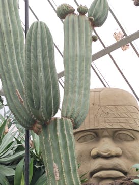 伊豆シャボテン動物公園に投稿された画像（2024/11/3）