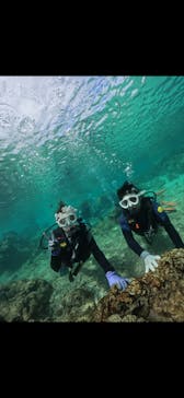 武藤潜水に投稿された画像（2024/11/3）