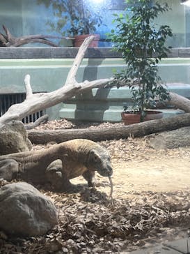 名古屋市東山動植物園に投稿された画像（2024/11/3）