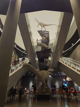 福井県立恐竜博物館に投稿された画像（2024/11/3）