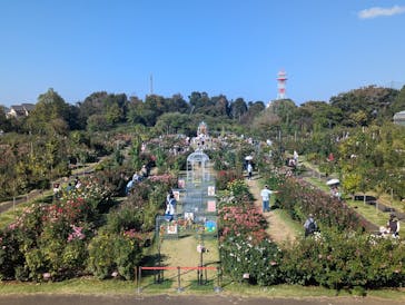 京成バラ園に投稿された画像（2024/11/3）