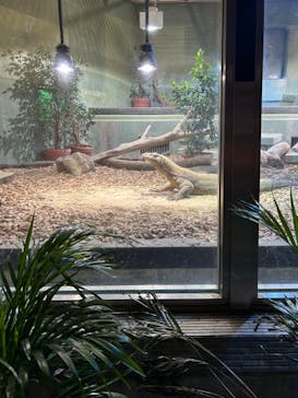 名古屋市東山動植物園に投稿された画像（2024/11/3）