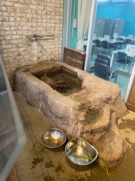 新江ノ島水族館に投稿された画像（2024/11/3）