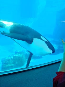 名古屋港水族館に投稿された画像（2024/11/3）