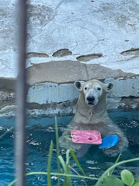 天王寺動物園に投稿された画像（2024/11/3）