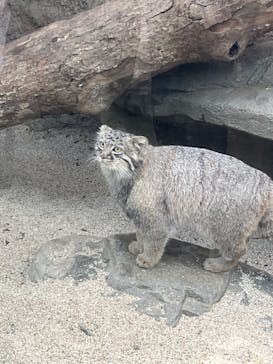 神戸どうぶつ王国に投稿された画像（2024/11/3）