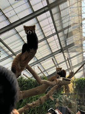 神戸どうぶつ王国に投稿された画像（2024/11/3）