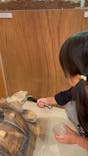 Moff animal cafe イオンモール名取店に投稿された画像（2024/11/3）
