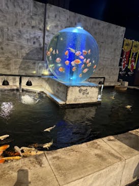 アクアテラス錦ケ丘に投稿された画像（2024/11/3）