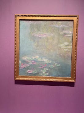 あべのハルカス美術館に投稿された画像（2024/11/3）