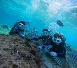 青の洞窟専門店　沖縄ダイビングショップ和に投稿された画像（2024/11/3）