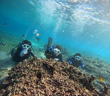 青の洞窟専門店　沖縄ダイビングショップ和に投稿された画像（2024/11/3）