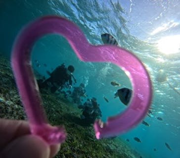 青の洞窟専門店　沖縄ダイビングショップ和に投稿された画像（2024/11/3）