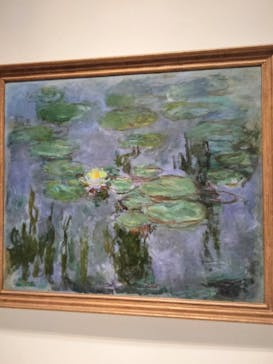 モネ 睡蓮のとき（国立西洋美術館）に投稿された画像（2024/11/3）