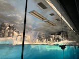 名古屋港水族館に投稿された画像（2024/11/3）