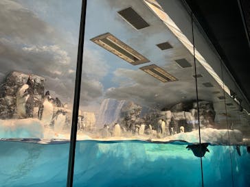 名古屋港水族館に投稿された画像（2024/11/3）