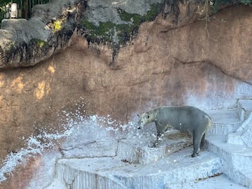 天王寺動物園に投稿された画像（2024/11/3）