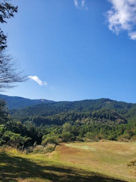 ときがわパラグライダースクールに投稿された画像（2024/11/3）