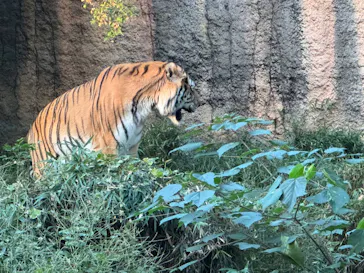 多摩動物公園に投稿された画像（2024/11/3）