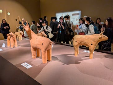 挂甲の武人 国宝指定50周年記念 特別展「はにわ」@東京国立博物館 平成館に投稿された画像（2024/11/3）