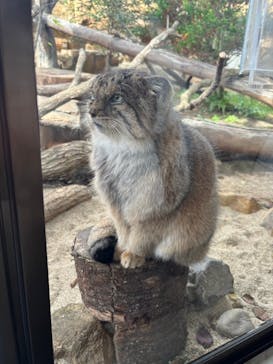 那須どうぶつ王国に投稿された画像（2024/11/3）