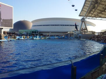 名古屋港水族館に投稿された画像（2024/11/3）