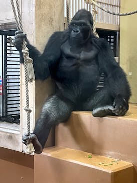 名古屋市東山動植物園に投稿された画像（2024/11/3）