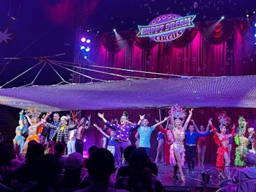 ハッピードリームサーカス湘南・平塚公演に投稿された画像（2024/11/3）