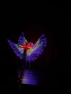 ハッピードリームサーカス湘南・平塚公演に投稿された画像（2024/11/3）