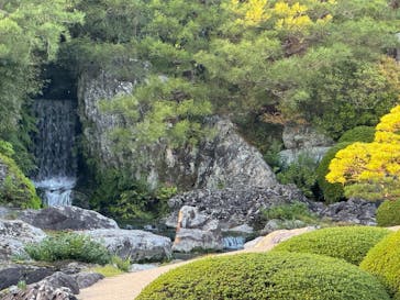 足立美術館に投稿された画像（2024/11/3）