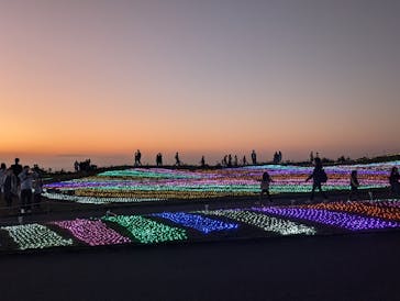 マザー牧場に投稿された画像（2024/11/3）