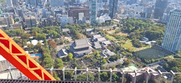 東京タワーに投稿された画像（2024/11/3）