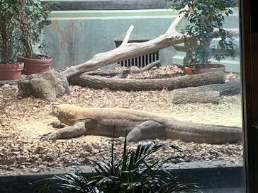 名古屋市東山動植物園に投稿された画像（2024/11/3）