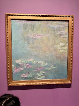 あべのハルカス美術館に投稿された画像（2024/11/3）