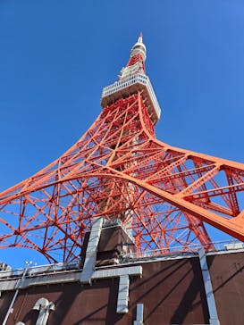 東京タワーに投稿された画像（2024/11/3）