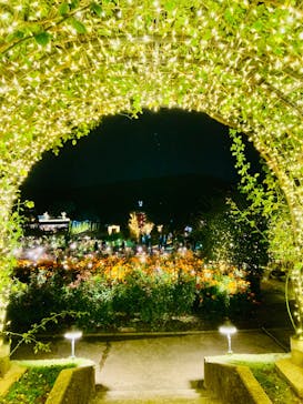 いばらきフラワーパークに投稿された画像（2024/11/3）