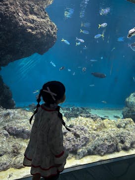 葛西臨海水族園に投稿された画像（2024/11/3）