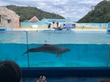 下田海中水族館に投稿された画像（2024/11/3）