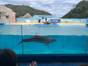 下田海中水族館に投稿された画像（2024/11/3）