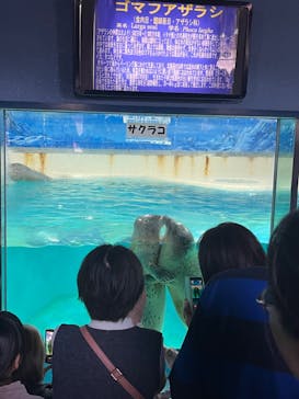 下田海中水族館に投稿された画像（2024/11/3）