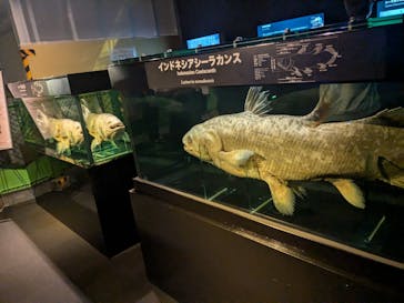 環境水族館アクアマリンふくしまに投稿された画像（2024/11/3）