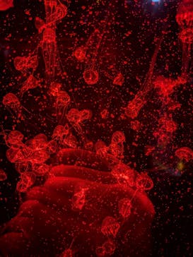 アクアワールド茨城県大洗水族館に投稿された画像（2024/11/3）